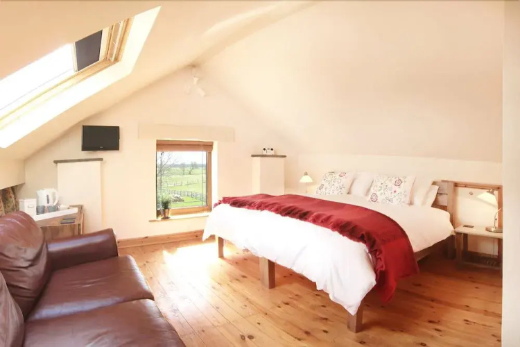Brush and Boot B&B