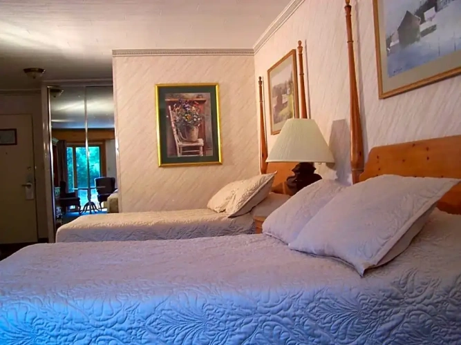 Deluxe Double room with balcony and with view