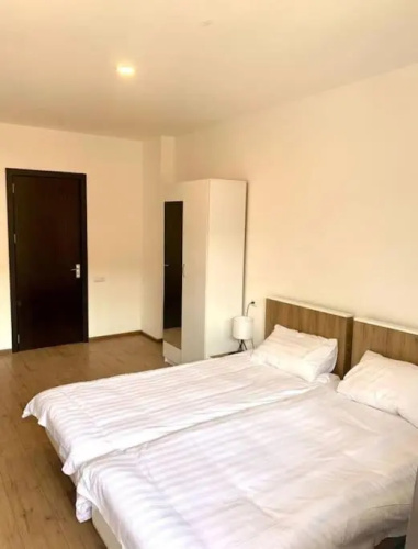 Cozy Bakuriani tribu 111