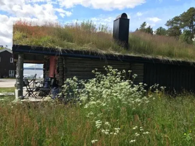 Båtstø Camping