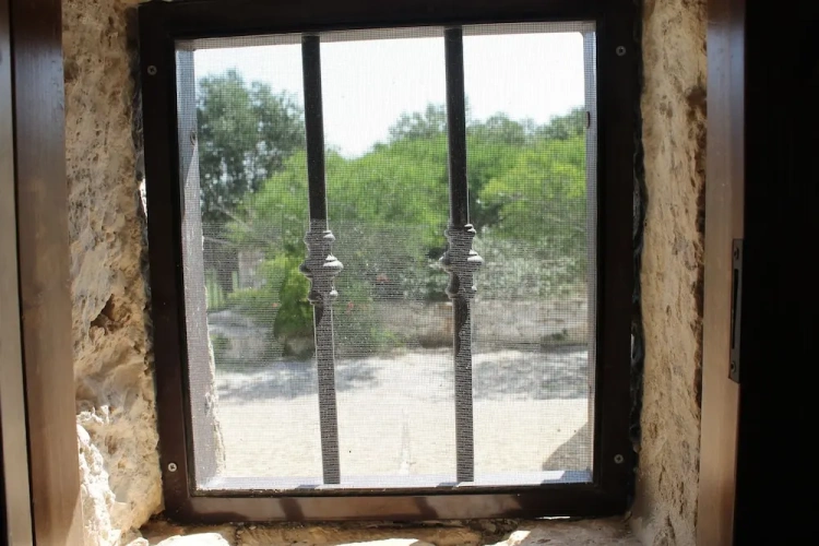 1 Bedroom Basement Apartment with garden view
