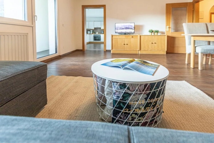 Tevini Alpine Apartments - Schmittenblick