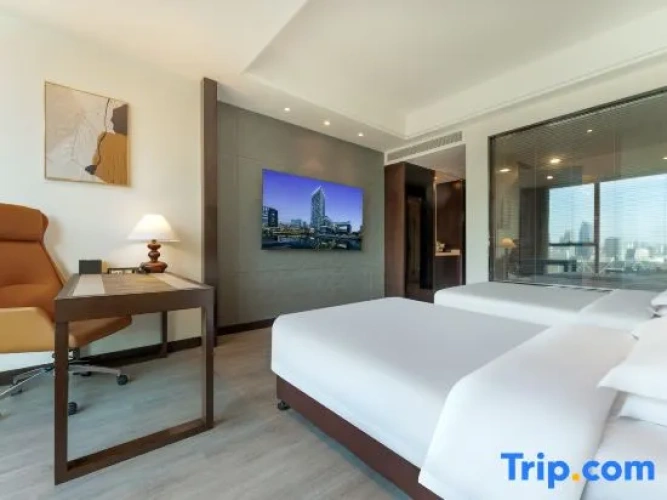 Business Double room with city view