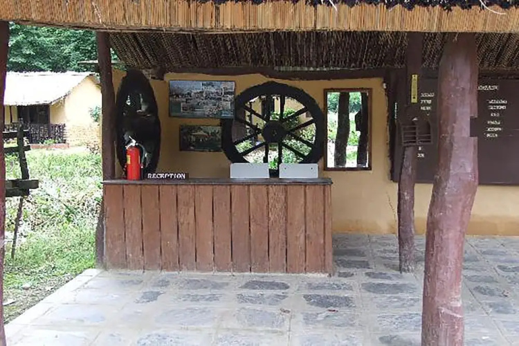 Island Jungle Resort