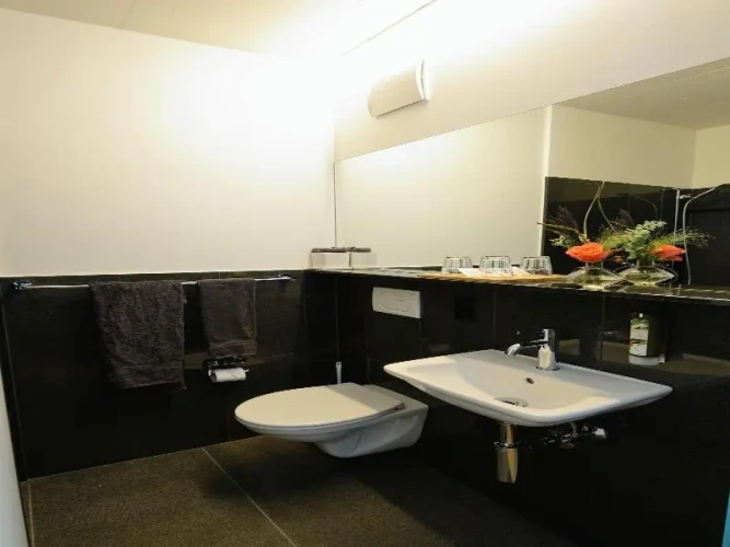 Standard Single room with view