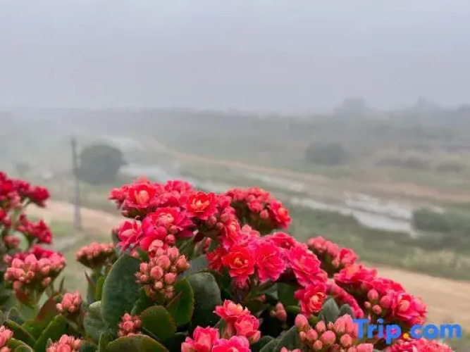 Longyandong Hot Spring Homestay