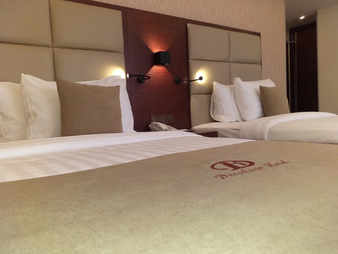 Desalegn Hotels Lodge And Apartment