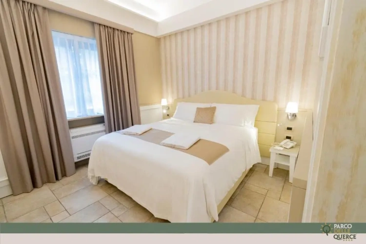 Standard Double room with balcony and with view