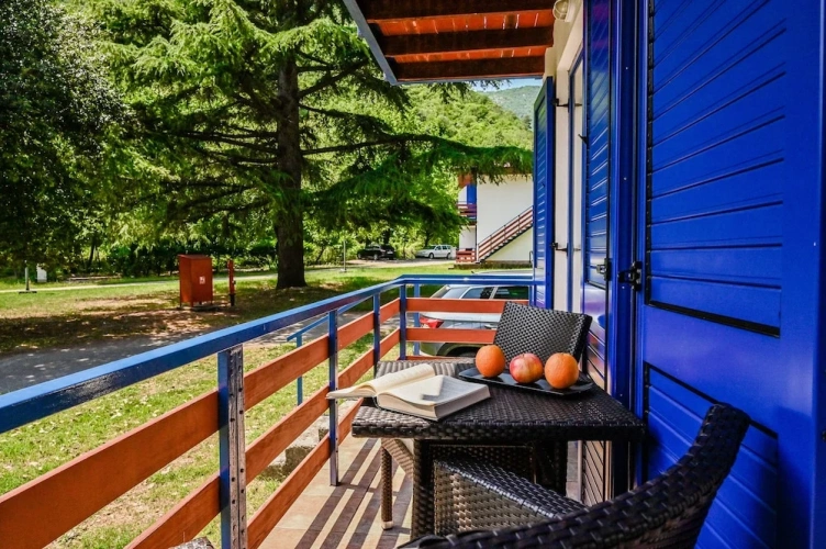 Standard Apartment