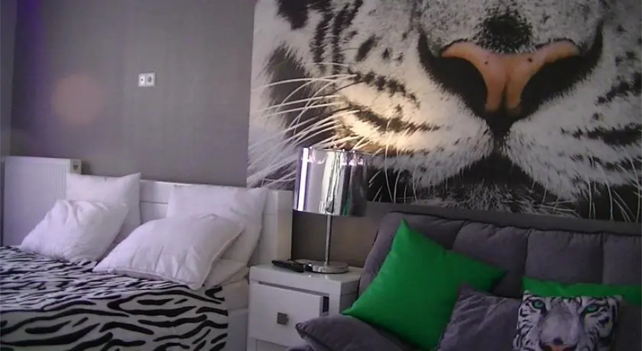 White Tiger Apartment