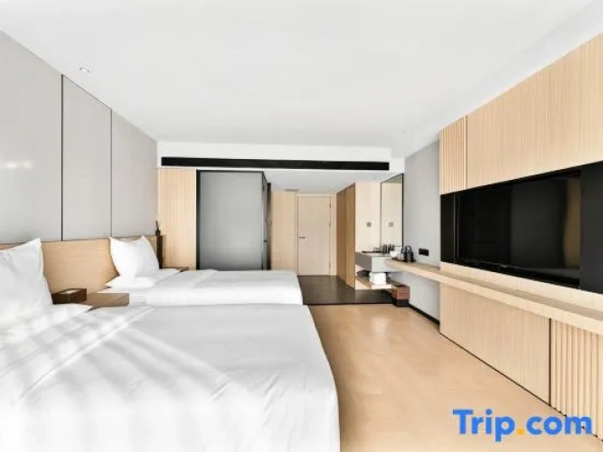 Standard Twin room with city view