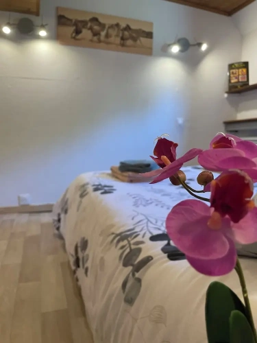 Classic room