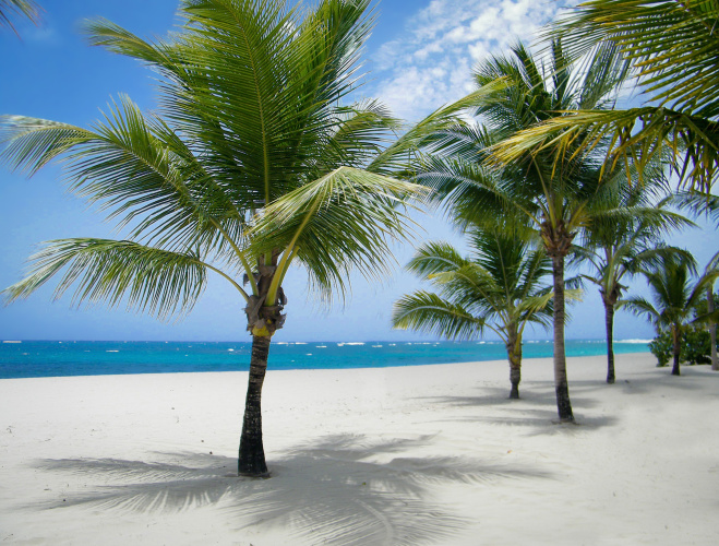 Viva Wyndham V Heavens - All-Inclusive Resort, Adults Only photo 39