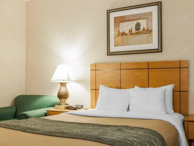 Standard room