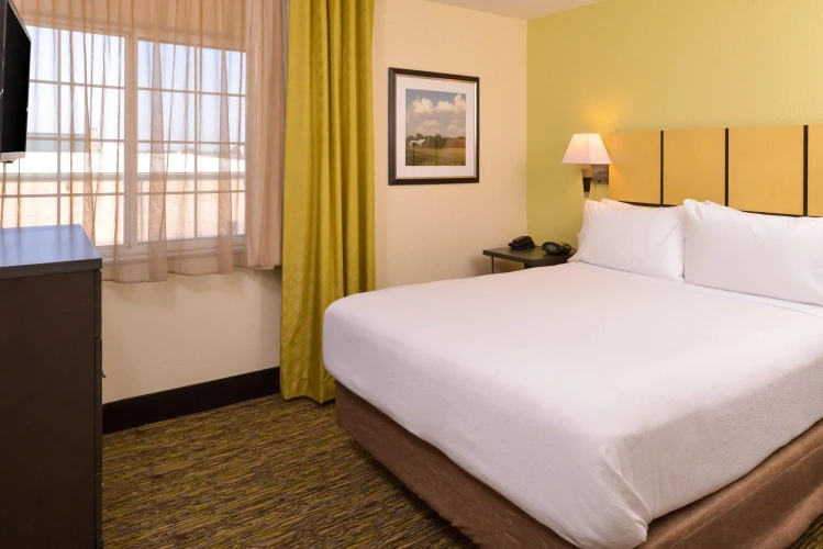 1 Bedroom Double Suite