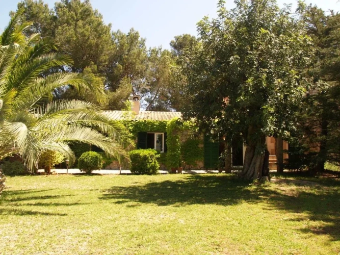 Cottage