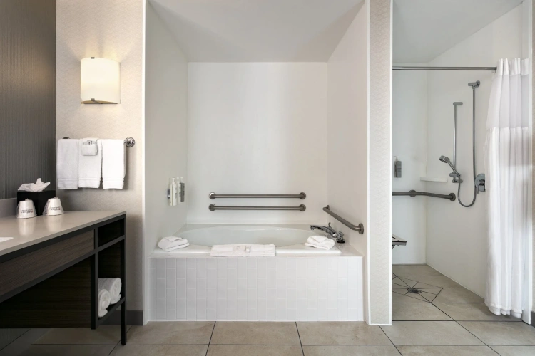 1 Bedroom Deluxe Single Suite