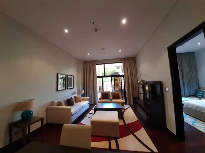 1 Bedroom Apartment