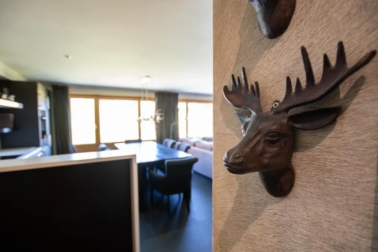 3 Bedrooms Apartment