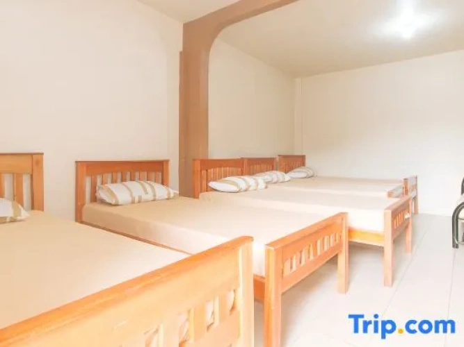Bed in Dorm