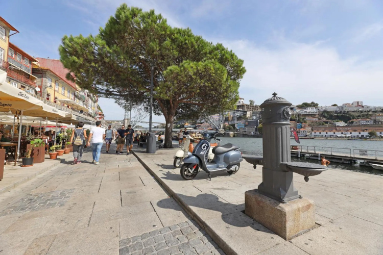 FLH Porto Cozy Studio