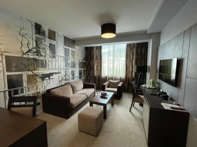 1 Bedroom Junior Suite