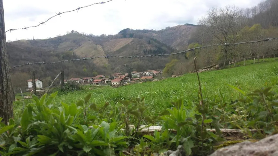 Alberroakoborda