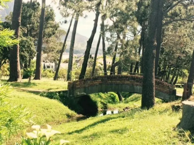Si Si Studio
