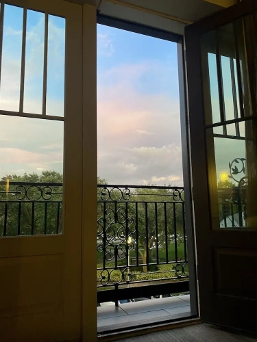 Premium Double room with balcony and with park view