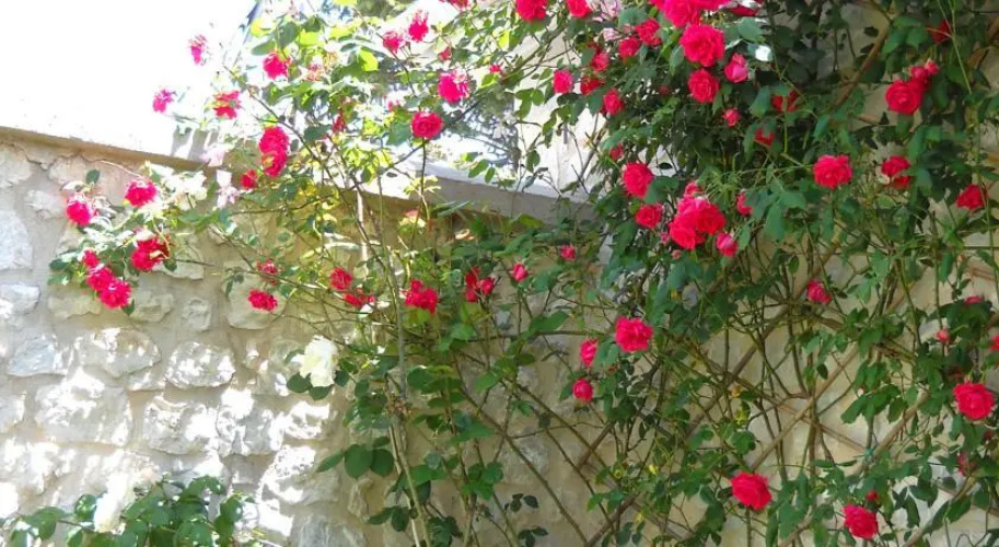 Gortys Guesthouse