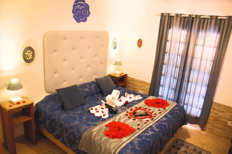 Standard Double Suite