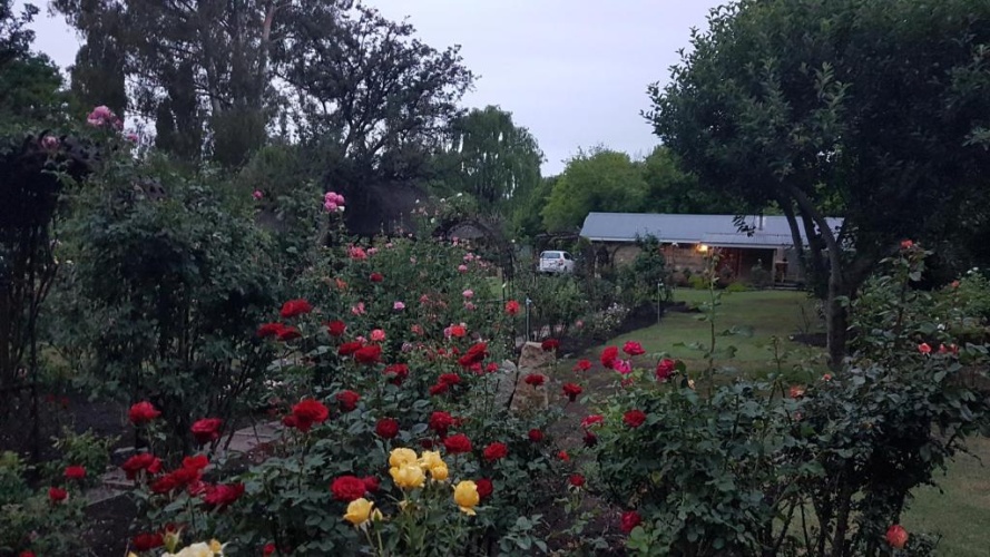 Comfort Cottage