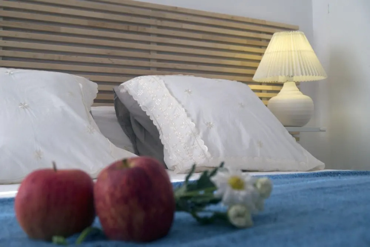 Apartamento - Clarimar 8 Jordi