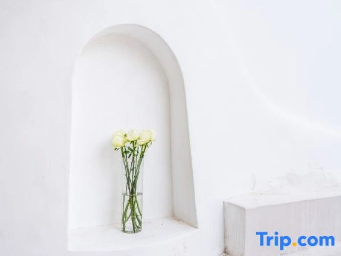 Floral&nbsp;Hotel·It's so nice to meet you·Life·Lake View Hotel (Piaomiaofeng Branch
