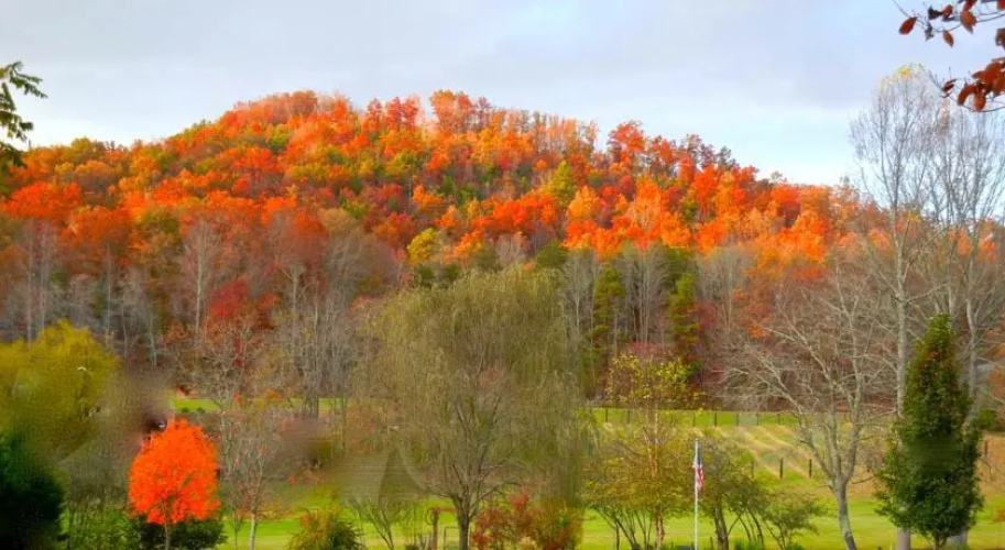 Harmony Grove Holiday Home