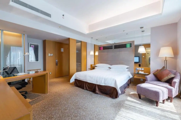 Standard Double Club room