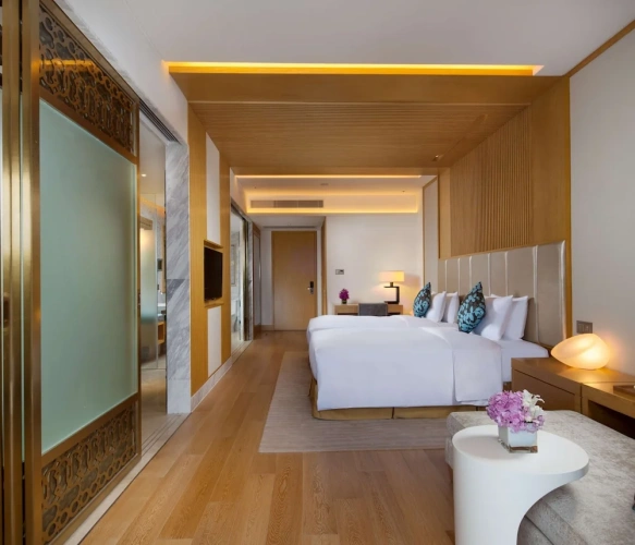 Deluxe Twin room with balcony and with garden view