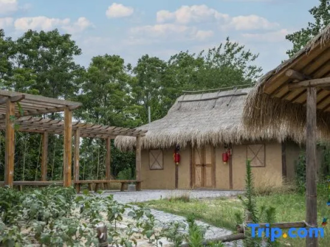 Wonderland Resort