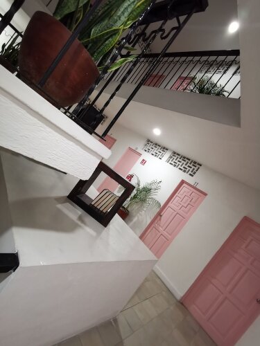 Imagen de Hotel Tropicus Boutique