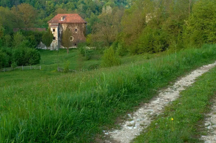 Kamp Jankovic