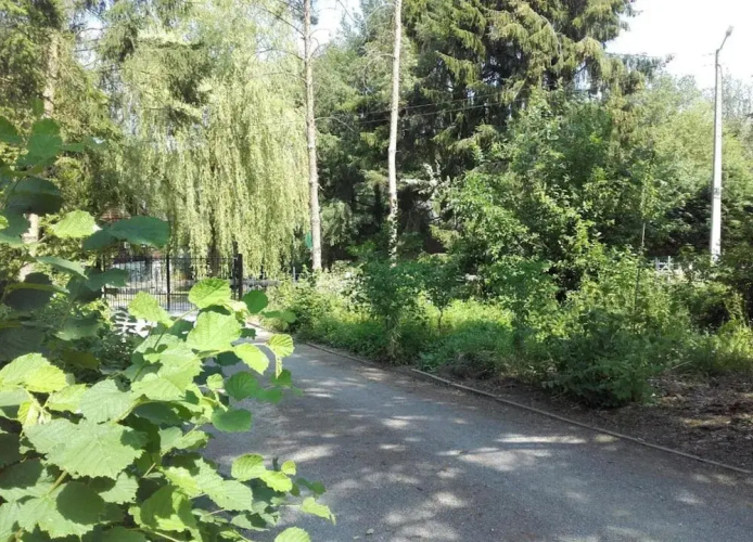 Cottage With Garden, Lessive