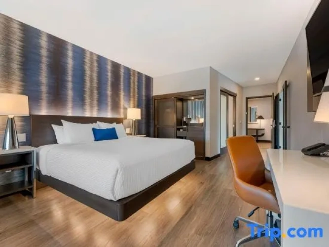 Single Suite