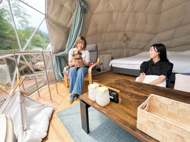 Tent