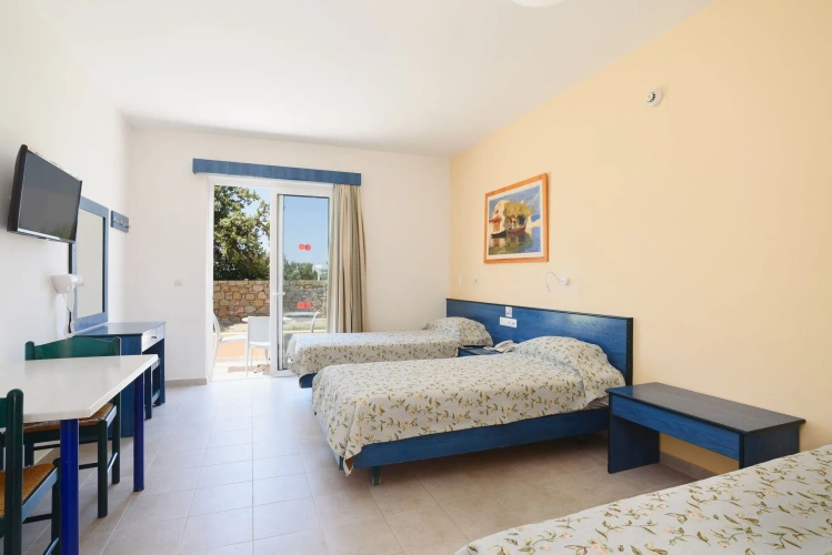 Double Studio with garden view