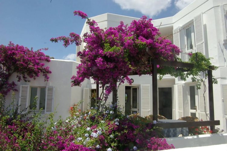 Imagen del hotel