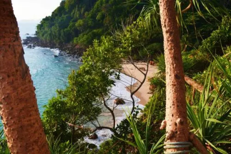 Paradise Lost Resort