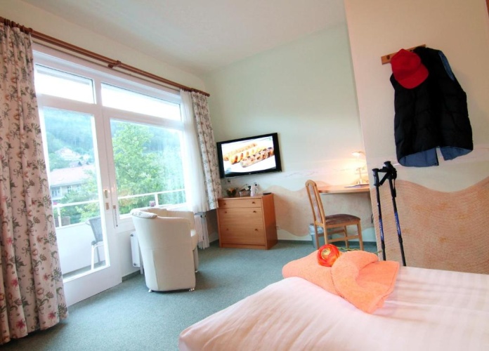 Standard Double room with balcony and with view