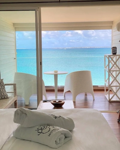 Superior Double room with balcony and with ocean view