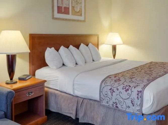 Quadruple Suite