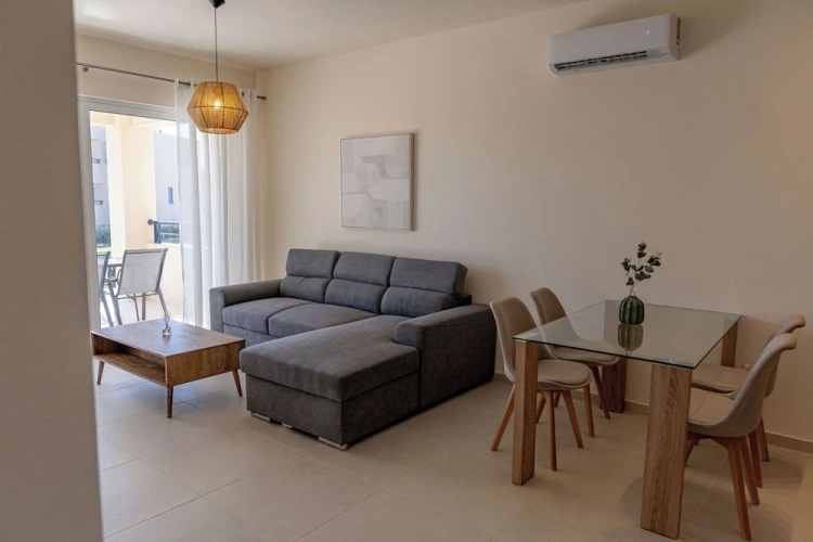 Luxury Apartment